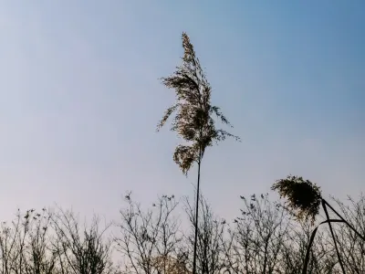 Bit4win Kazino Mobilioji programa